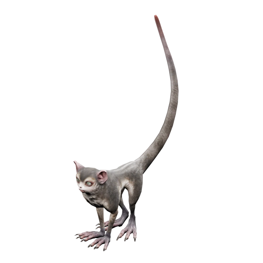 Lori