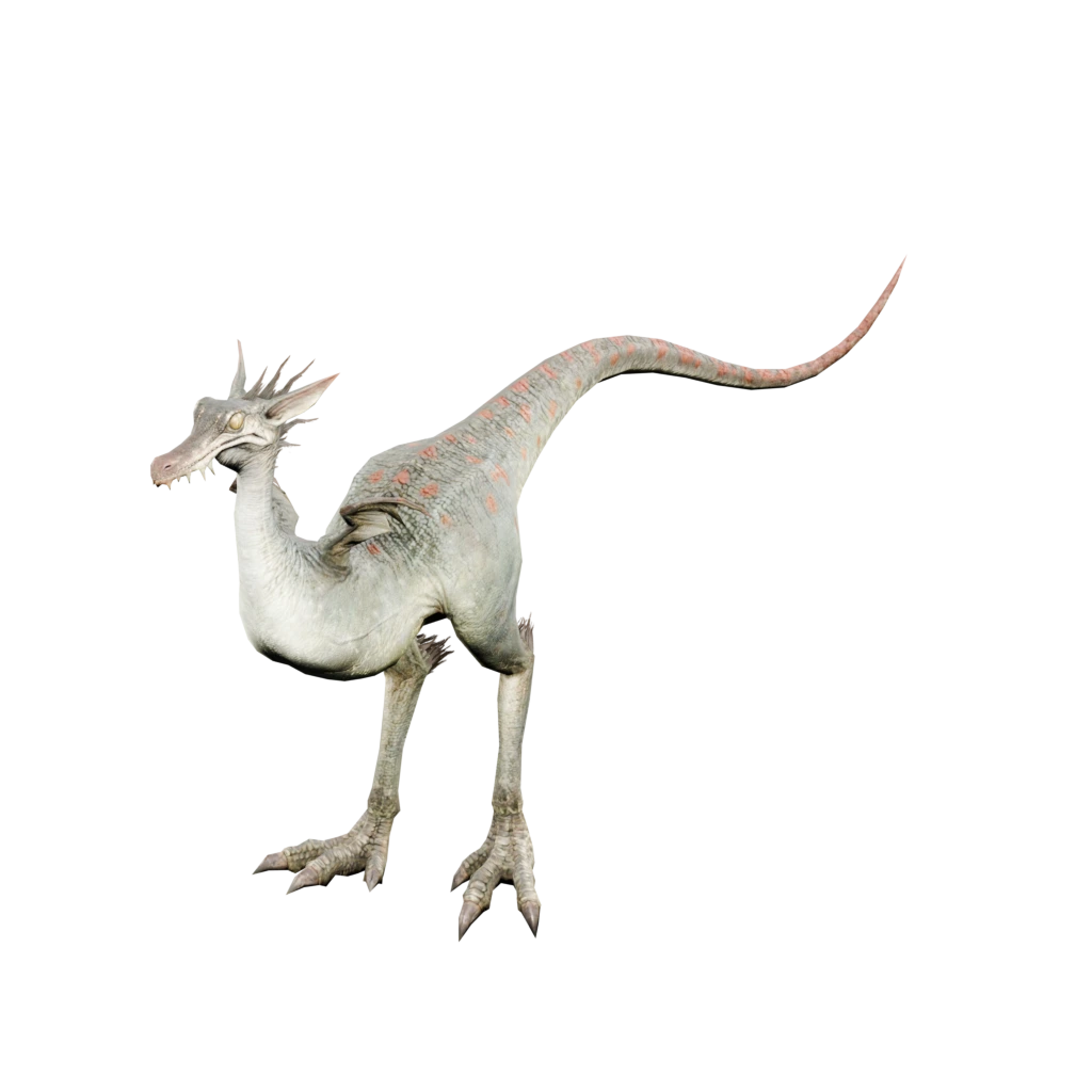 Anolis
