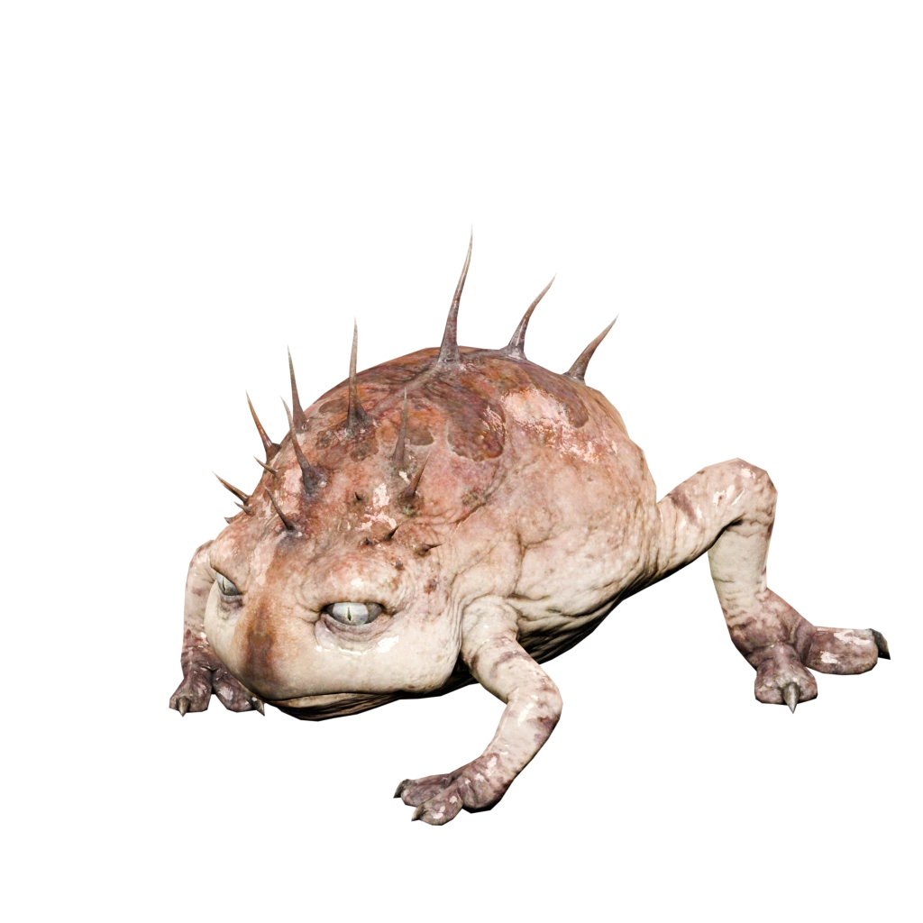 Holzkröte