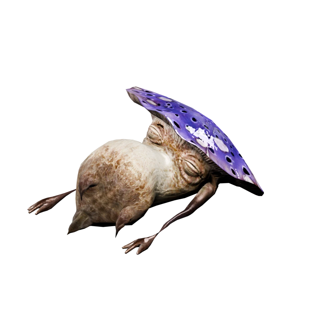 MagischerFungus