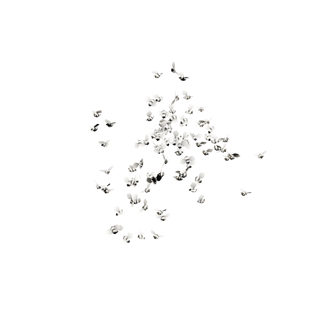 Mückenwolke