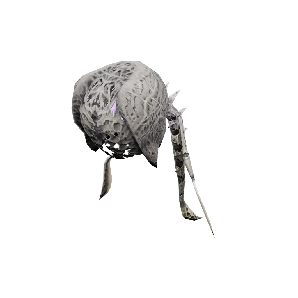 LeererWanderer
