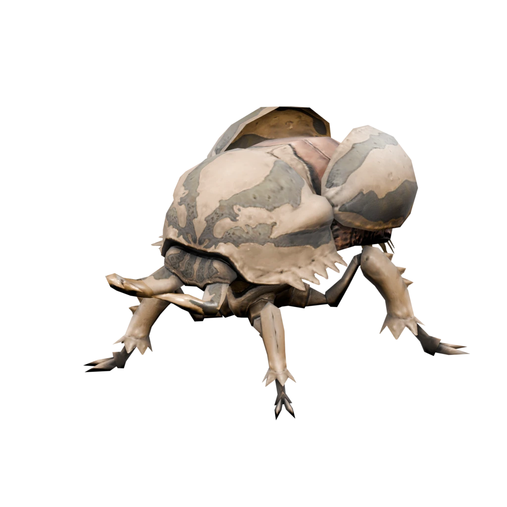 Nashornkäfer