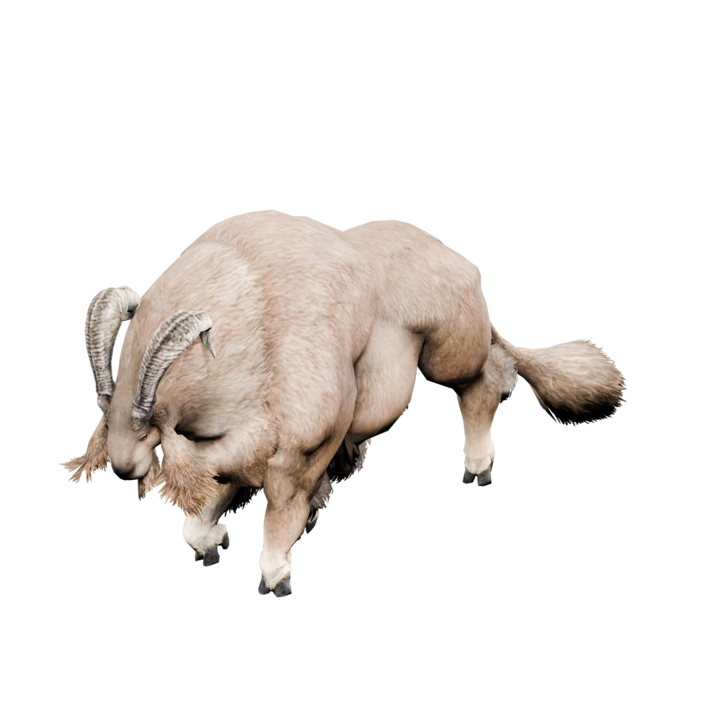 Myotragus-Bock