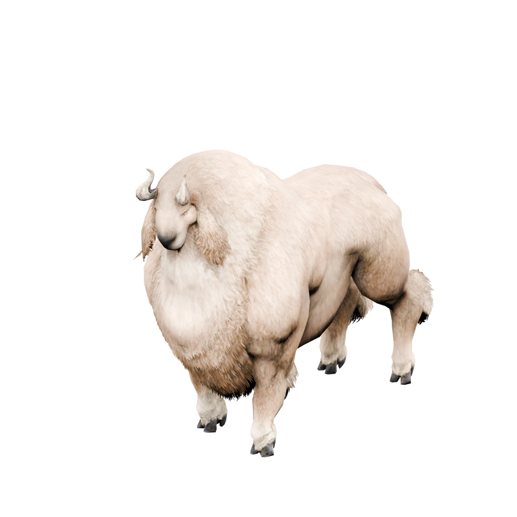 Myotragus-Geiß