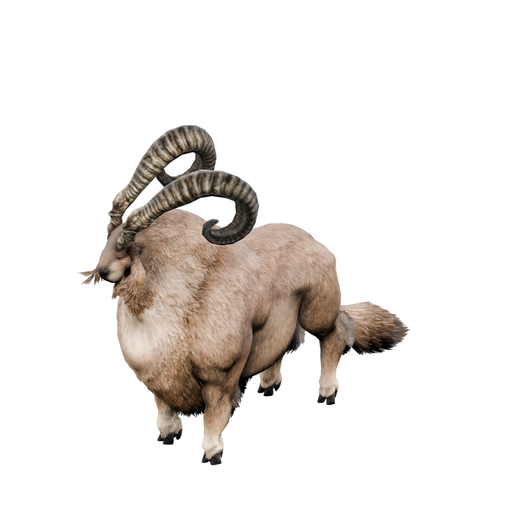 SteinaltesLanghorn