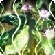 /003000/003377_hr1.webp