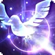 /003000/003481_hr1.webp