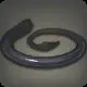 /027000/027001_hr1.webp
