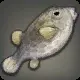/029000/029118_hr1.webp