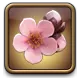 /062000/062924_hr1.webp