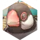 /070000/070531_hr1.webp