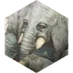 /070000/070536_hr1.webp