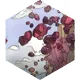 /070000/070545_hr1.webp